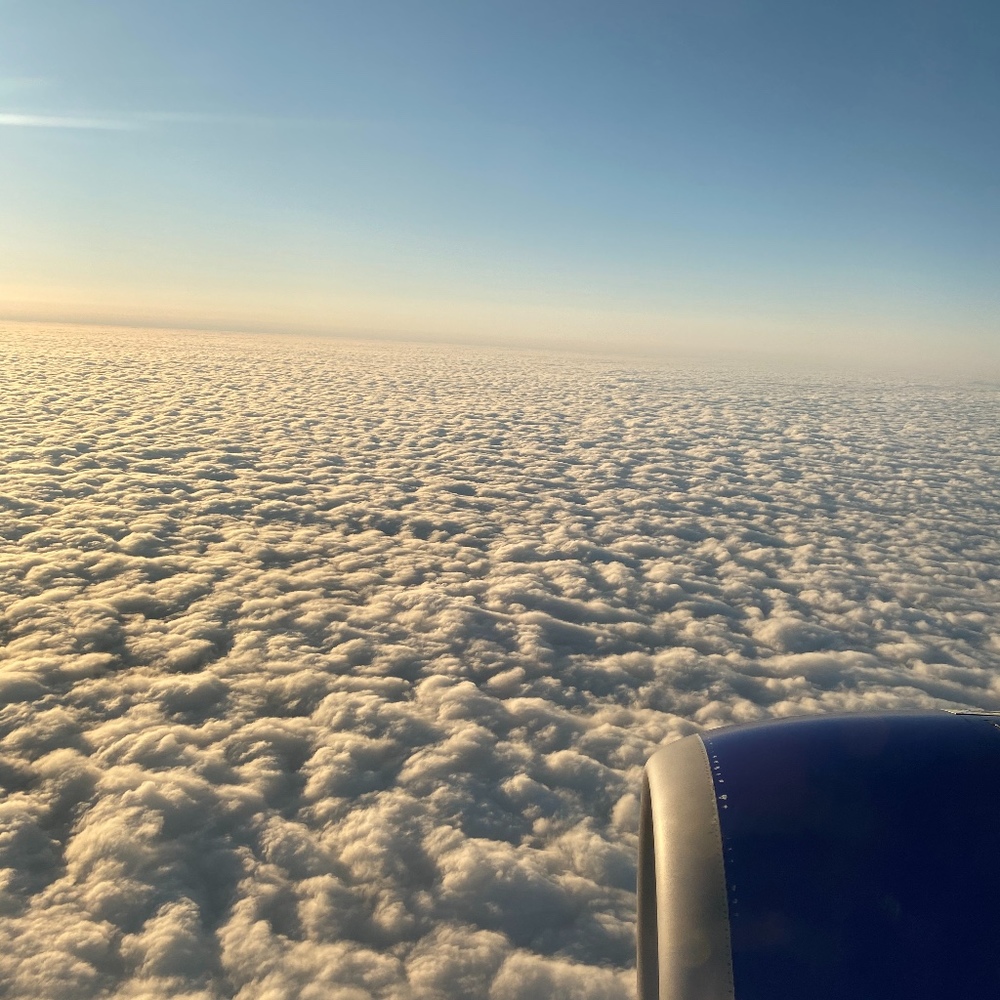 Meet your Posher, Tina